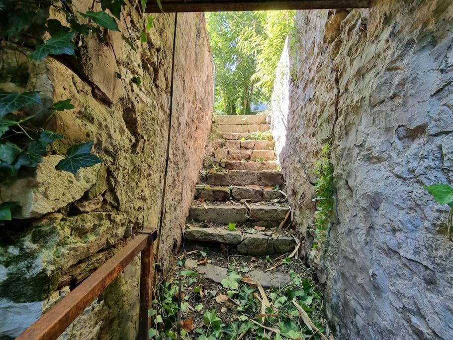 Elegance Provinoise Aux Pieds Des Remparts Classe Provins Eksteriør billede